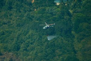 SEDENA y FF.AA Sofocado incendio que afectaba reserva forestal en Guanaja